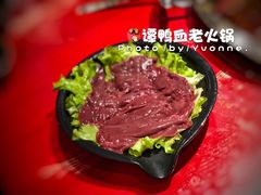 -谭鸭血老火锅(漳州路店)