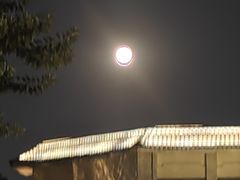 -厦门悦华酒店
