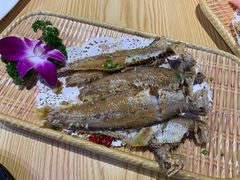 -劲莲舟山海鲜(东书房路店)