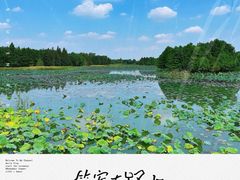 -苏州东太湖生态园