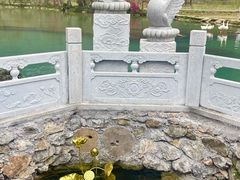 -靖西鹅泉风景区