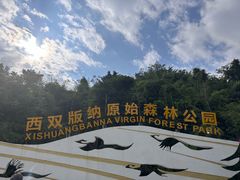 -西双版纳原始森林公园