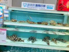 -盒马鲜生(帝斯曼店)