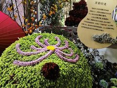 -杭州植物园