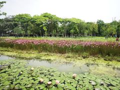 -南北湖风景区