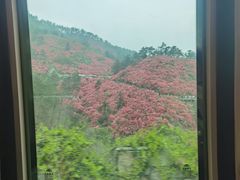 -木兰云雾山