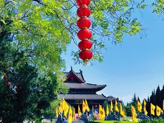 -大槐树寻根祭祖园