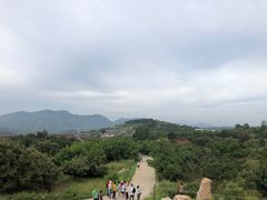 -梨木台悦来客农家院