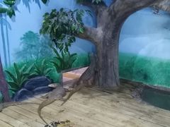 -石家庄市动物园