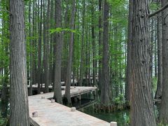 -东湖落雁景区