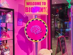 -BIG PINK大粉娃娃机主题馆(圆融星座店)