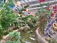 -兴芮温泉度假区