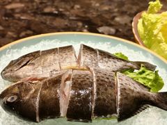 -雾山韩式烤肉·海南糟粕&椰子鸡火锅·海景餐厅(三亚绿发山海天JW万豪酒店)