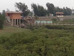 -北海金海湾红树林生态旅游区