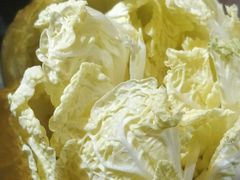 -探窝·竹笙椰子鸡(杨箕店)