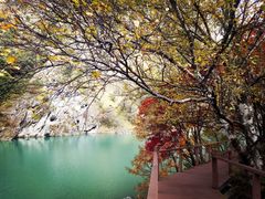 -叠溪松坪沟景区