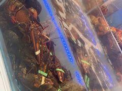 -同庆楼(滨湖万达广场店)