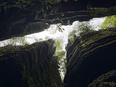 -梭布垭石林景区