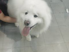 -宠福鑫康馨动物医院·骨科·眼科