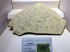 -辽宁古生物博物馆