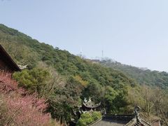 -韬光茶庵