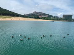 -海驴岛(荣成市)