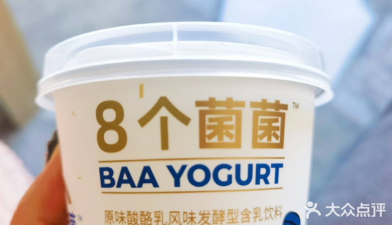 会拉丝的酸乳酪