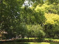 -徐家汇源景区-衡山公园