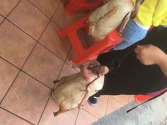 -黄连大头华烧鹅店(大良店)