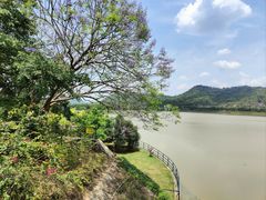 -风云岭森林公园