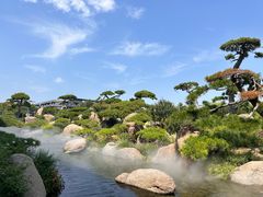 -罗红摄影艺术馆