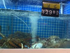 -金龙·打边炉(南京西路店)