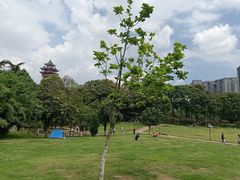 -塔子山公园