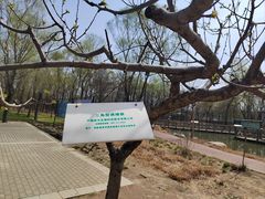 -野鸭湖国家湿地公园