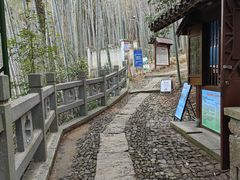 -杭州植物园