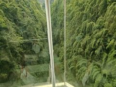 -阿依河景区