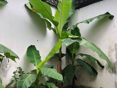-浙江省博物馆(孤山馆区)