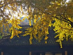 -无锡惠山寺