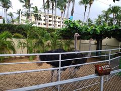 -三亚亚龙湾天域度假酒店