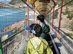 -西霞口神雕山野生动物世界