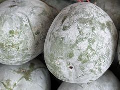 -金瑶池·猪肚鸡·传统冬瓜盅(20年白沙店)