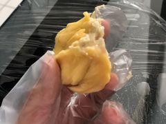 -都念榴莲·城市榴莲