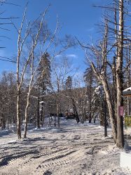 -大秃顶子山