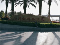 -宝安西湾红树林湿地公园