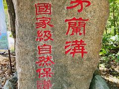 -茅兰沟国家森林公园