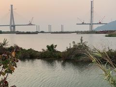 -芒洲湿地公园