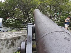 -大炮台