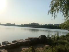 -大兴滨河森林公园