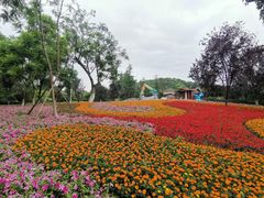 -铁山坪森林公园