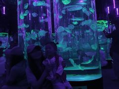 -成都浩海立方海洋公园